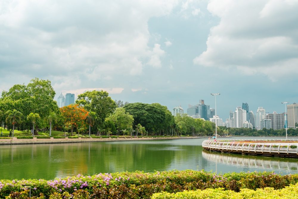 Best Parks in Bangkok - Explore the Benchakitti Forest Park